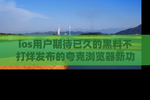 ios用户期待已久的黑料不打烊发布的夸克浏览器新功能上线啦!