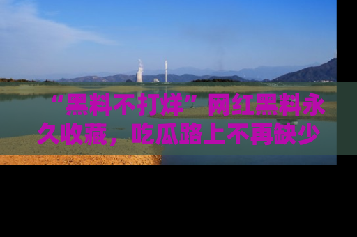 “黑料不打烊”网红黑料永久收藏，吃瓜路上不再缺少惊喜与乐趣
