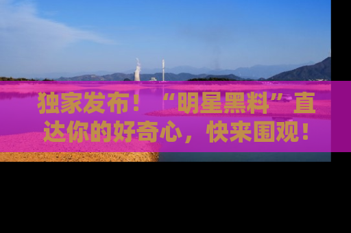 独家发布！“明星黑料”直达你的好奇心，快来围观！