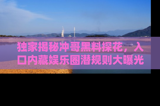独家揭秘冲哥黑料探花，入口内藏娱乐圈潜规则大曝光
