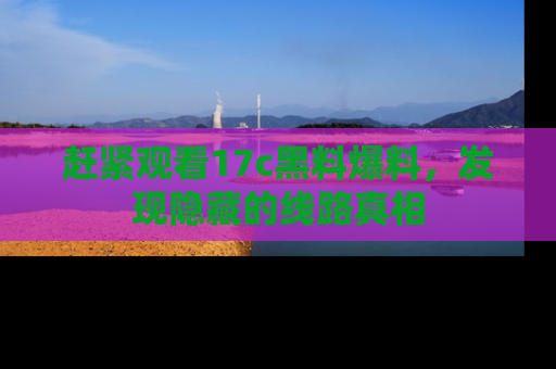 赶紧观看17c黑料爆料，发现隐藏的线路真相