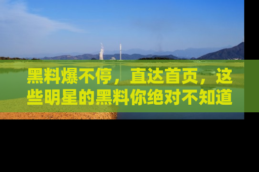 黑料爆不停，直达首页，这些明星的黑料你绝对不知道！