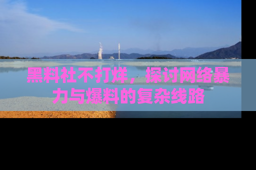 黑料社不打烊，探讨网络暴力与爆料的复杂线路