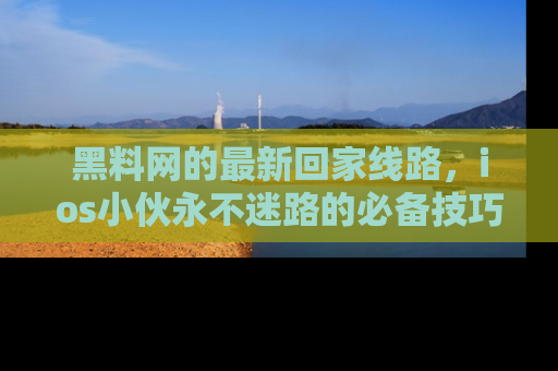 黑料网的最新回家线路，ios小伙永不迷路的必备技巧！