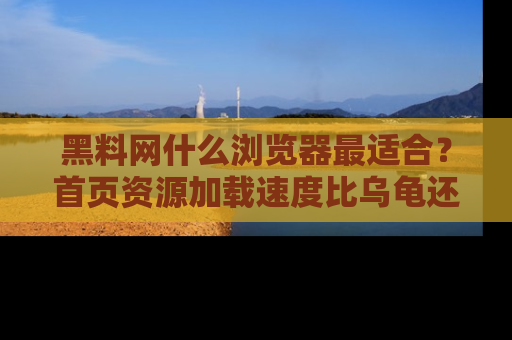 黑料网什么浏览器最适合？首页资源加载速度比乌龟还慢的体验真心吐槽！