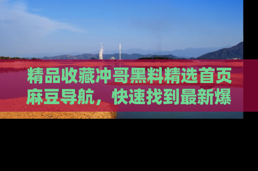 精品收藏冲哥黑料精选首页麻豆导航，快速找到最新爆料