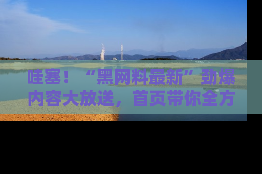 哇塞！“黑网料最新”劲爆内容大放送，首页带你全方位了解哦，小可爱们