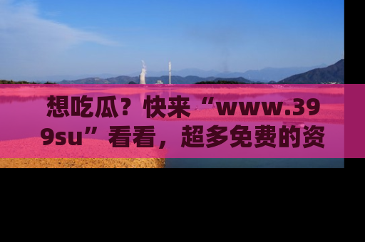 想吃瓜？快来“www.399su”看看，超多免费的资源让你尽情享受！