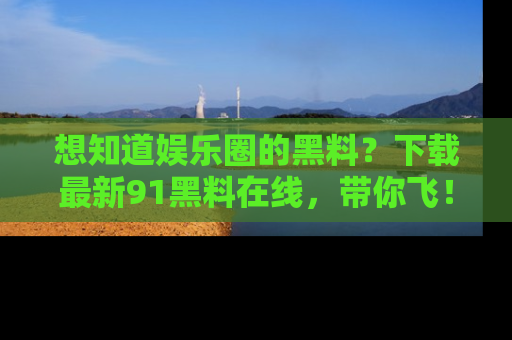 想知道娱乐圈的黑料？下载最新91黑料在线，带你飞！