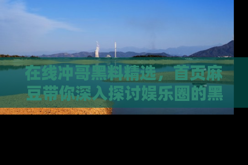在线冲哥黑料精选，首页麻豆带你深入探讨娱乐圈的黑暗面